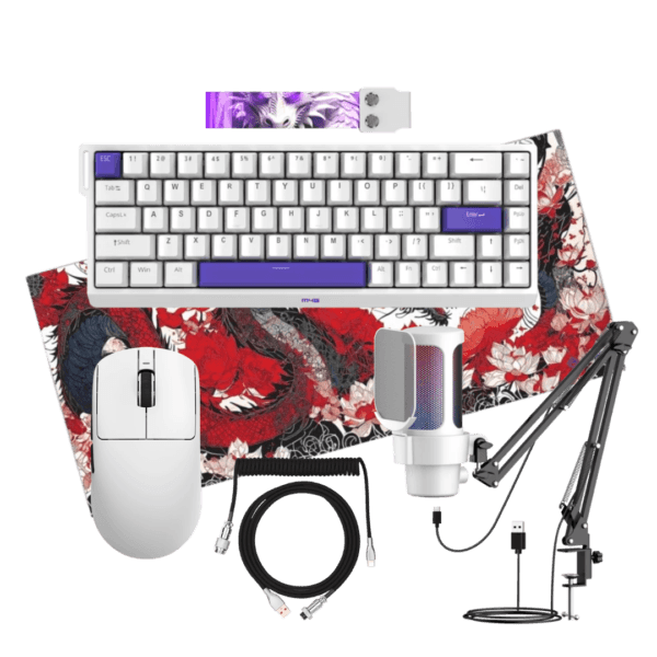 Pro Gaming Setup Bundle